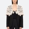 Bordercart.shop383dc81ec2 2